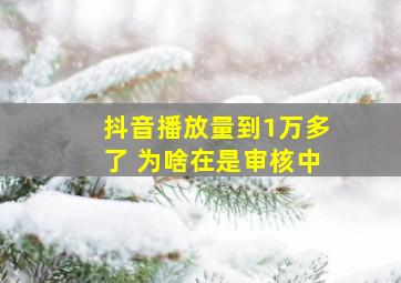 抖音播放量到1万多了 为啥在是审核中